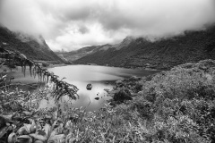 MG_2837a