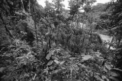 MG_2895a