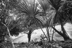 MG_2928a