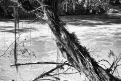 MG_3122a