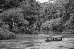 MG_3401a