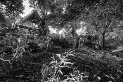 MG_3778a