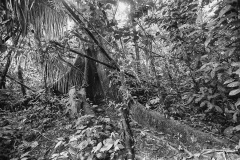MG_4615a