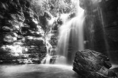 MG_4659a
