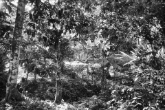 MG_6327a